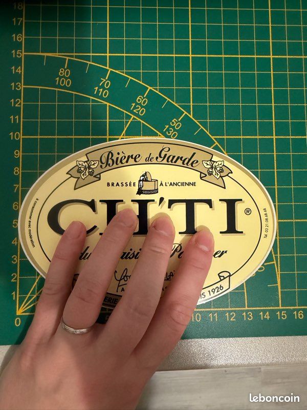 Sticker étiquette autocollant officiel Ch'ti décoration neuf (image 3)