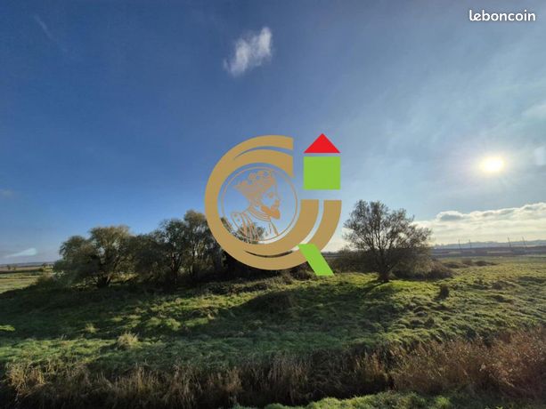 https://img.leboncoin.fr/api/v1/lbcpb1/images/17/d0/a4/17d0a4def54c4794d9a6e682ad3021afb874d75b.jpg?rule=ad-image