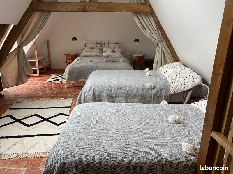 Gite 4 pers proche châteaux, zoo beauval au coeur de la campagne (image 8)