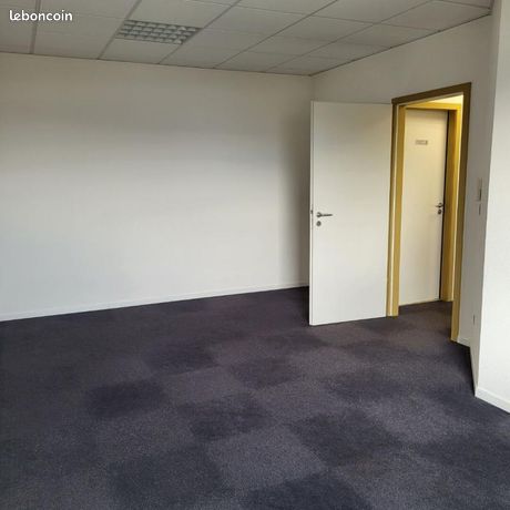 https://img.leboncoin.fr/api/v1/lbcpb1/images/17/d5/de/17d5de2b2f5d781686bf0bb4839fa4947c415892.jpg?rule=ad-image
