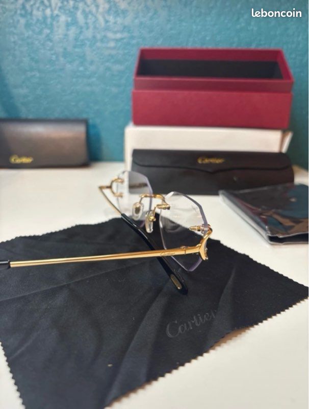 Lunette 4 saison (image 5)