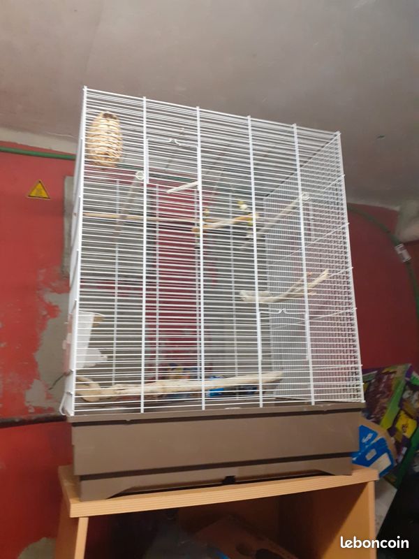 Cage oiseaux blanche (image 1)