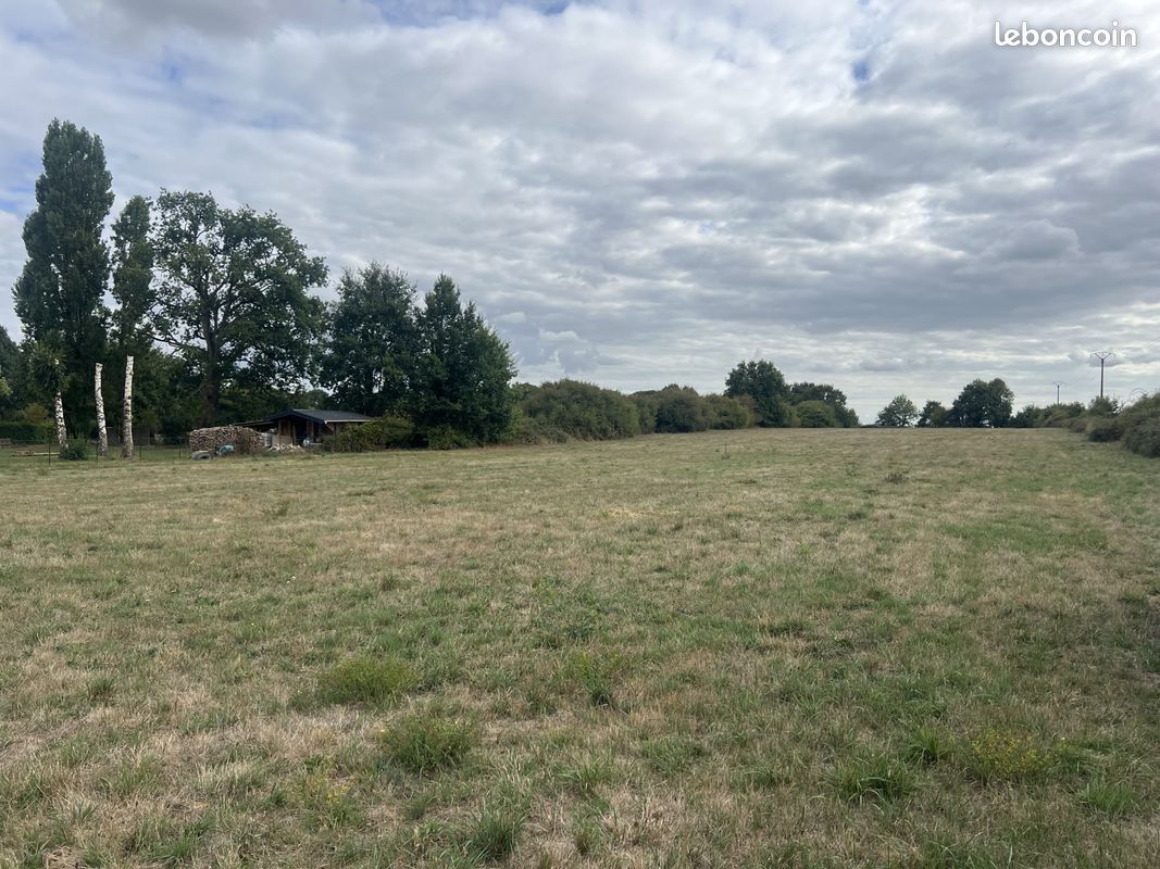 Terrain 12731 m² · à Soudan · 12 731 m² · 57 500 €
