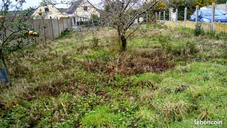 Terrain constructible