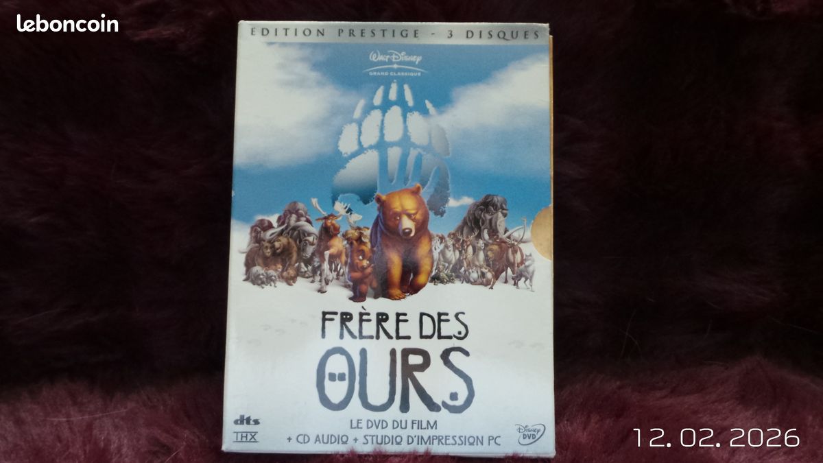 DVD Frère des ours (image 1)