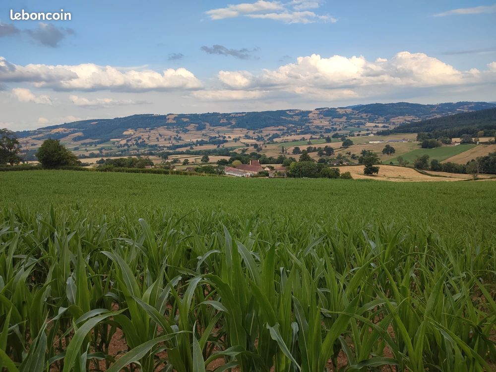 Terrain constructible 2793 m2 - Bourgogne du Sud · à Navour-sur-Grosne · 99 000 €