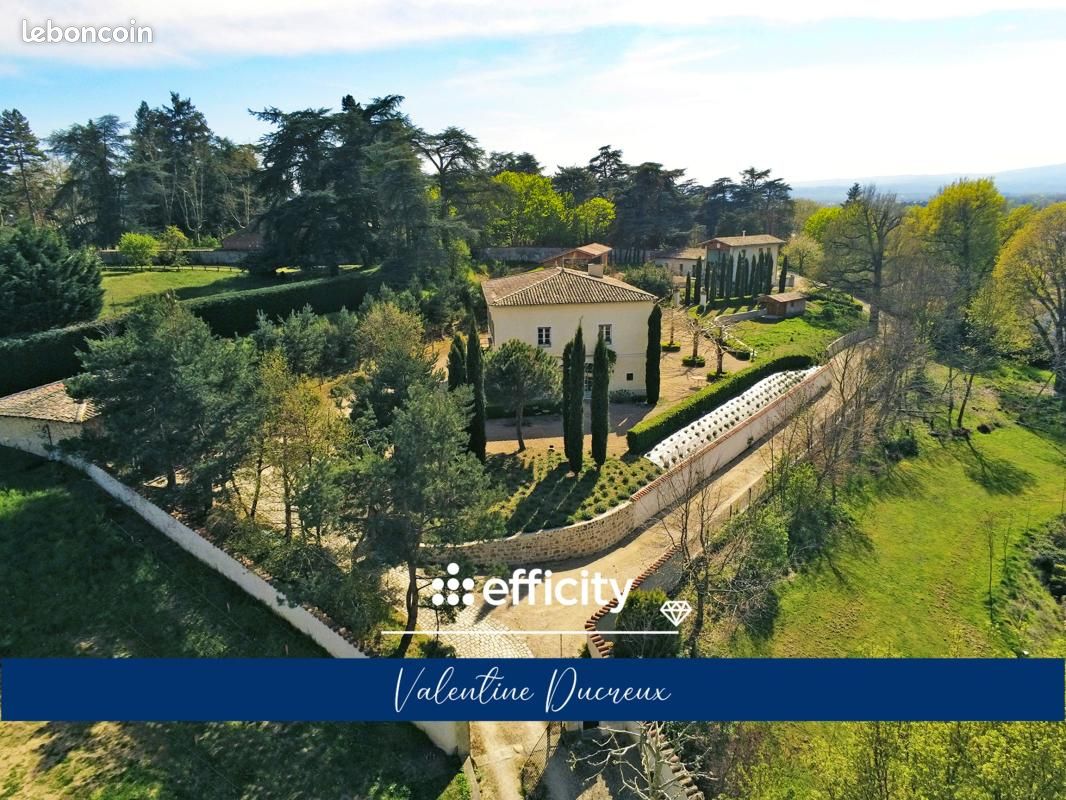 Maison 11 pièces 491 m² · à Andrézieux-Bouthéon · 491 m² · 1 950 000 €