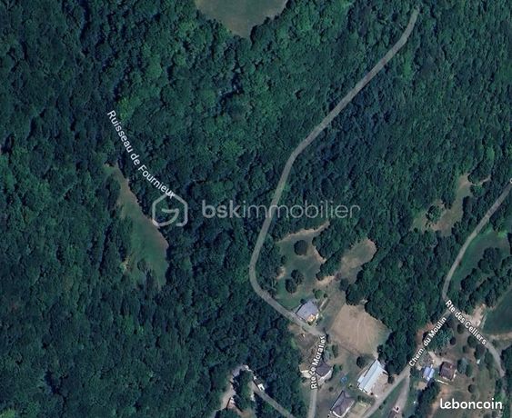 Forêt 2 449 m² Saint Vital