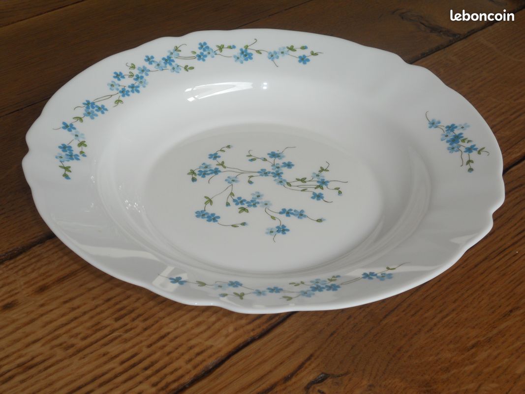 Plat grande assiette Arcopal Véronica