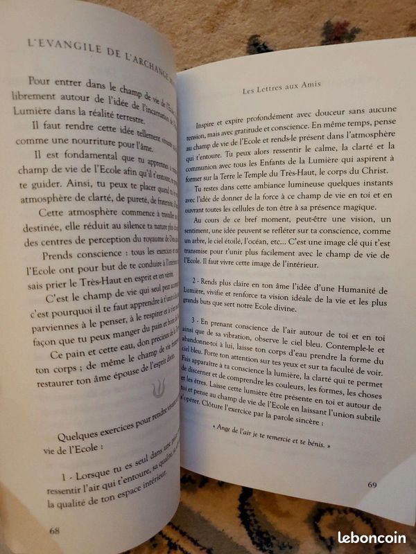 L'évangile de l'Archange Michaël par Olivier Manitara (image 6)