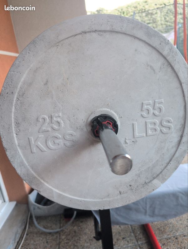 Paire de Biceps couleur fer 8 kg (paire) | DakarDiscount | Dakar | SN