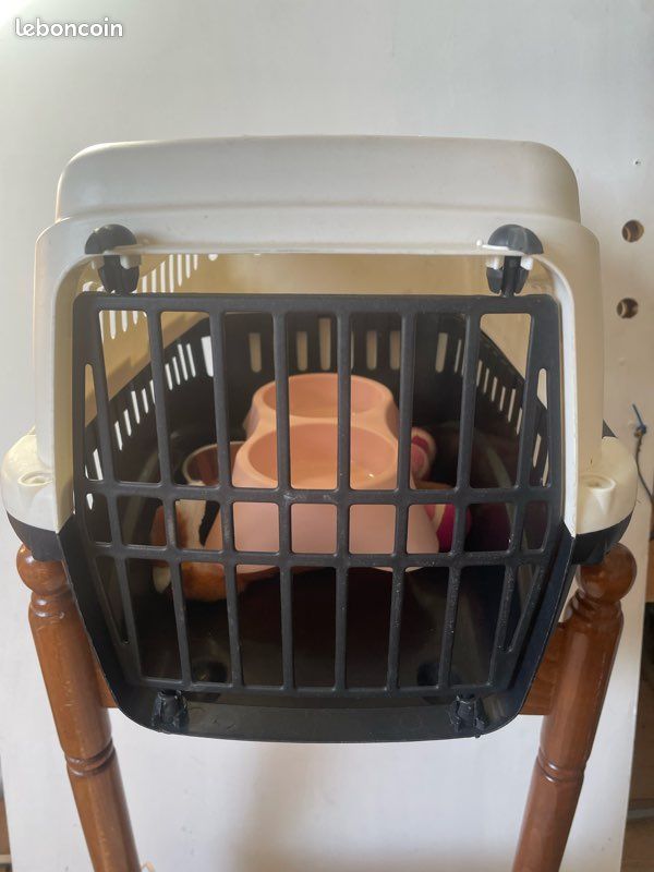 Vends caisse de transport pour chat ( avec don de gamelle ) (image 1)