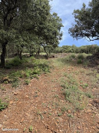 Terrain 854 m² MONOBLET