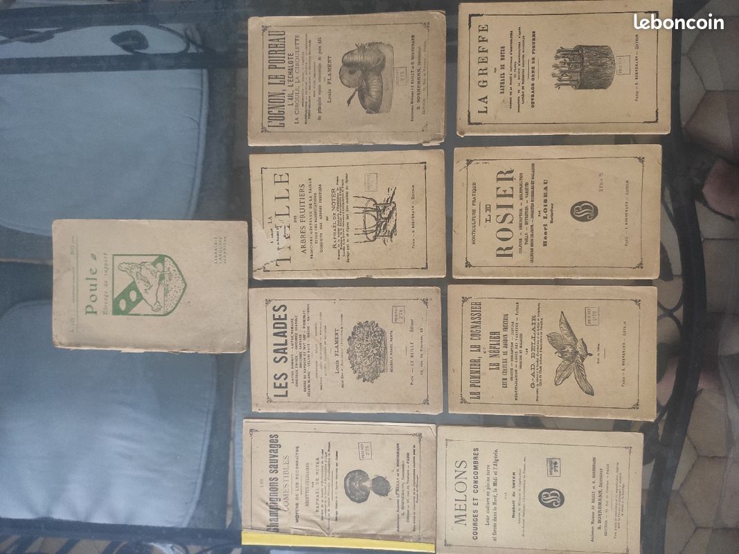 Livres ancien (image 3)