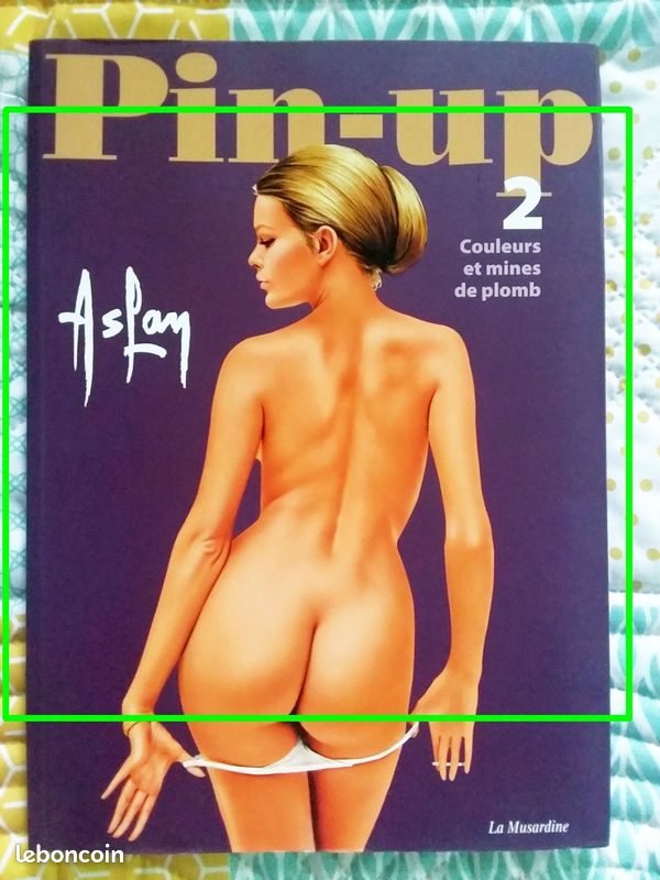 "Pin-up Tome 2" (érotisme ++) ASLAN - pour adultes avertis - AVCP (image 2)