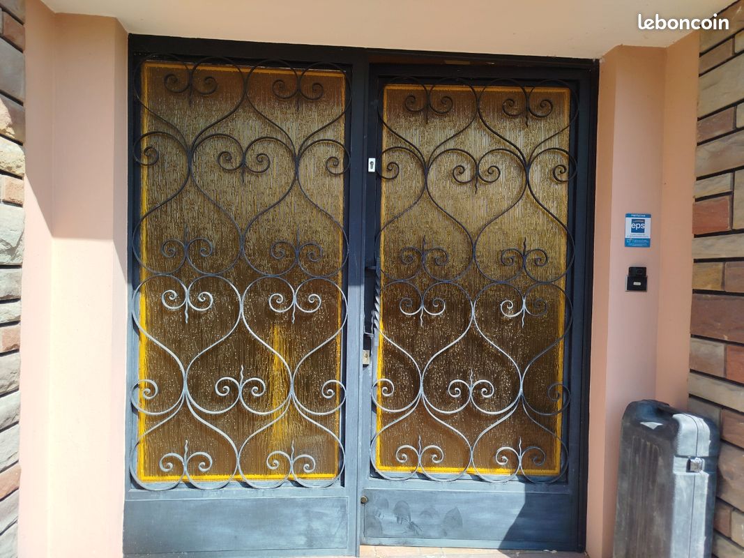 Porte d'entrée fer forgé (image 1)