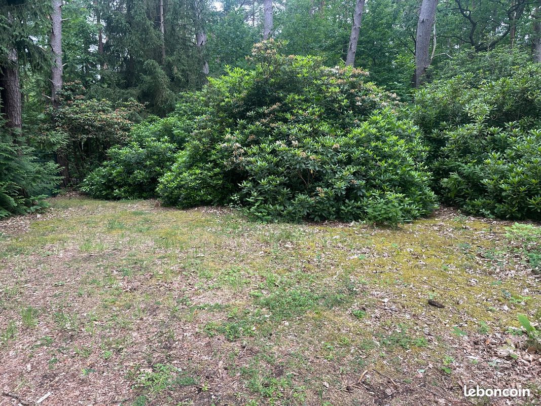 Terrain 3000 m² NOISY SUR ECOLE · à Noisy-sur-École · 475 000 €
