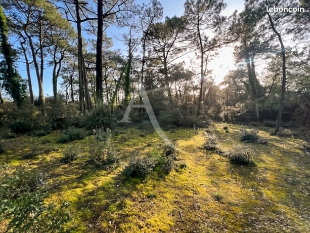 Terrain 4808 m² SAINT JEAN DE MONTS