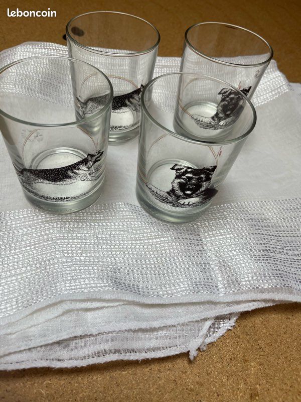 4 verres Royal Canin (image 1)