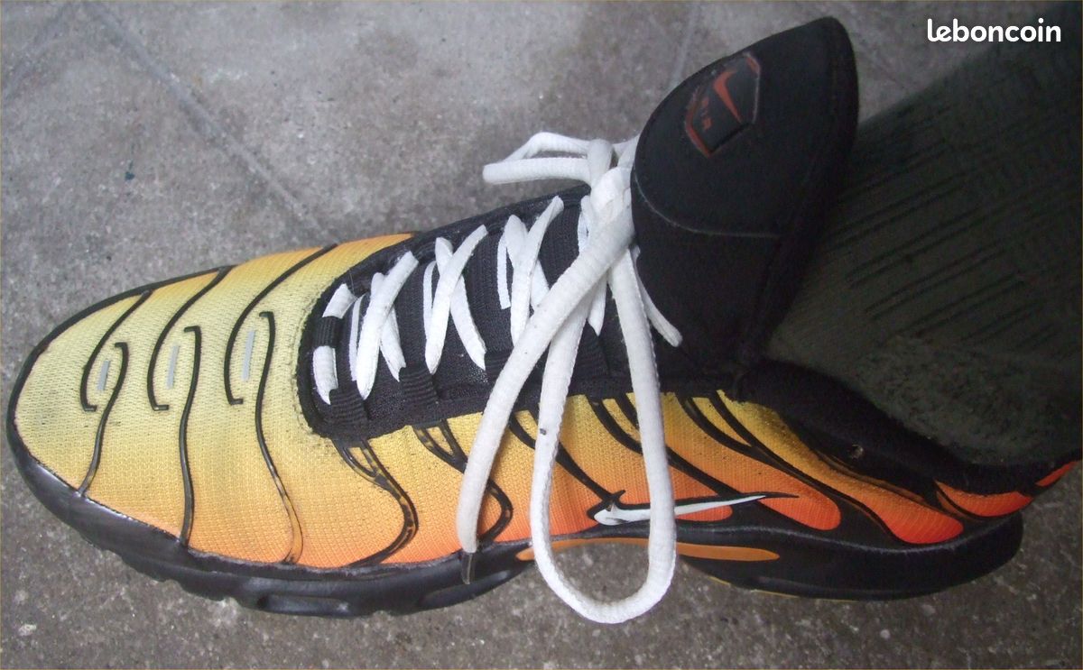 Kalinga Ashok Converse Globo Adidas Run Falcon Adidas Falcon Vert