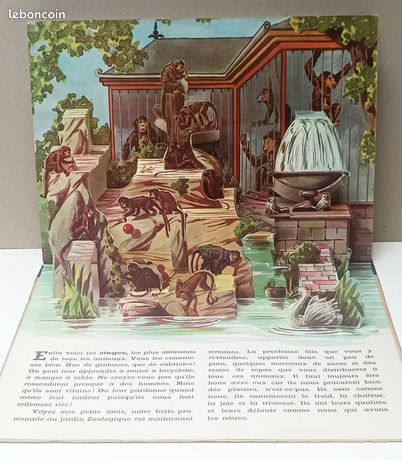 Zoo (Livre animé Pop-up à système) (Couverture rigide