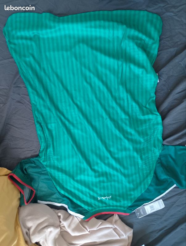Maillot Algérie (image 3)