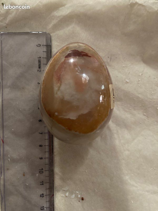 Œuf onix (image 2)