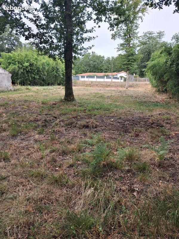 Terrain constructible · à Saint-Mariens · 88 000 €