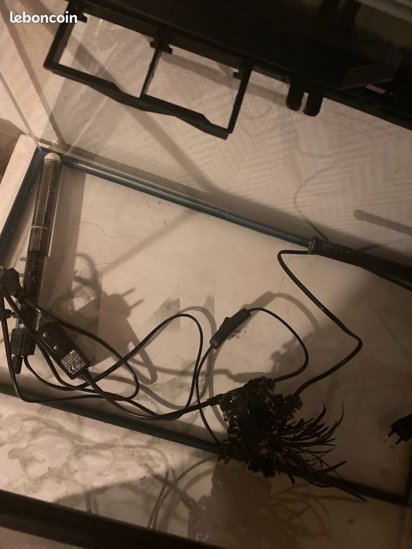 Aquarium (image 2)