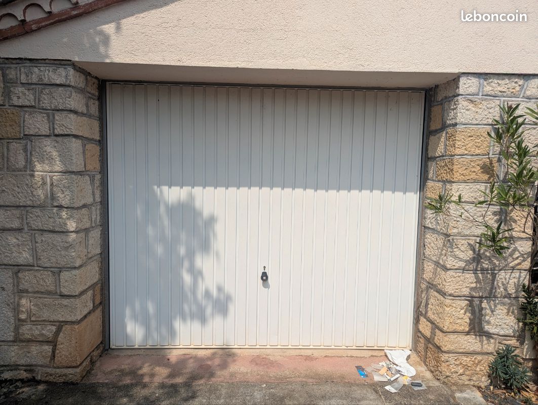 Porte de garage basculante motorisée (image 1)