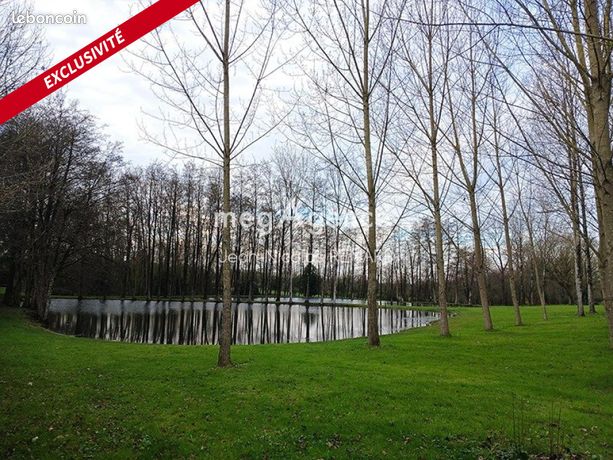 Terrain 9979 m² NIEUL-LE-DOLENT