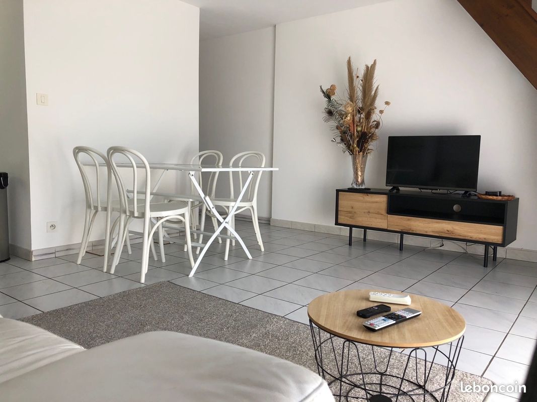 Duplex 3 pièces 46 m² (image 3)