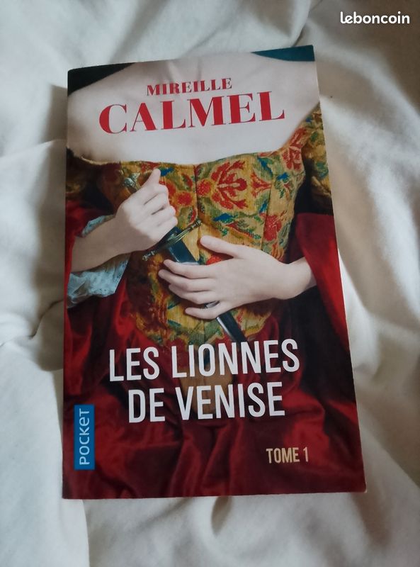 Les lionnes de Venise (image 1)