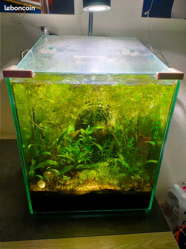 Aquarium (image 3)