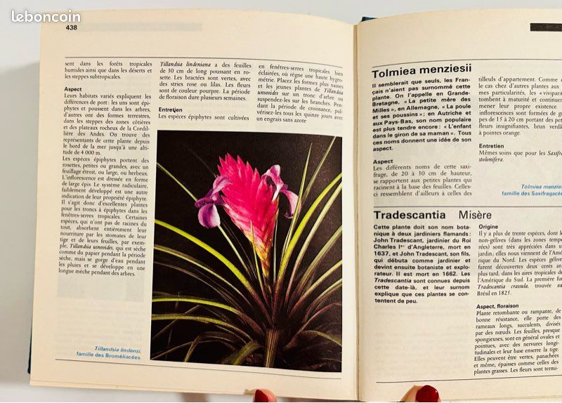 Encyclopédie des plantes d’appartement ENVOI GRATUIT (image 1)