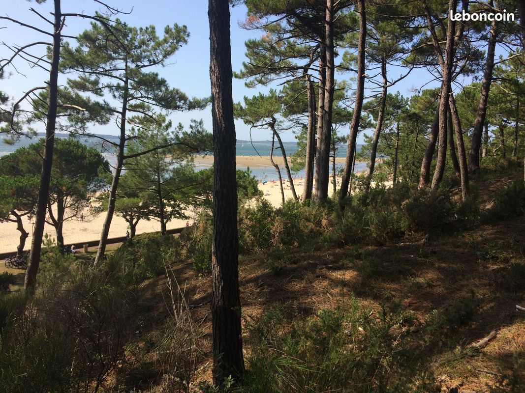 Arcachon bel appartement T2 très lumineux avec terrasse 1 chambre au calme 250 m plage du Moulleau (image 1)
