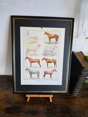 Carte Postale Ancienne Jockey Course Chevaux - 1899, Litho Designer, Originale