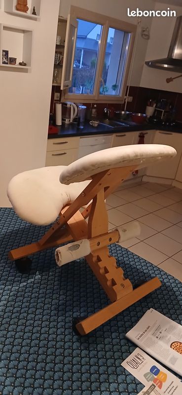 Siége ergonomique (image 2)
