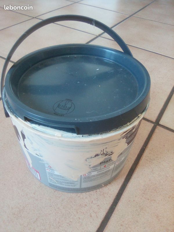 Peinture couleur coquille d'oeuf reste de travaux (image 2)