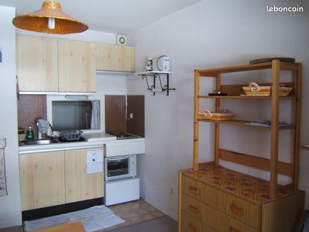 Studio la foux d'allos pont de labrau (image 4)