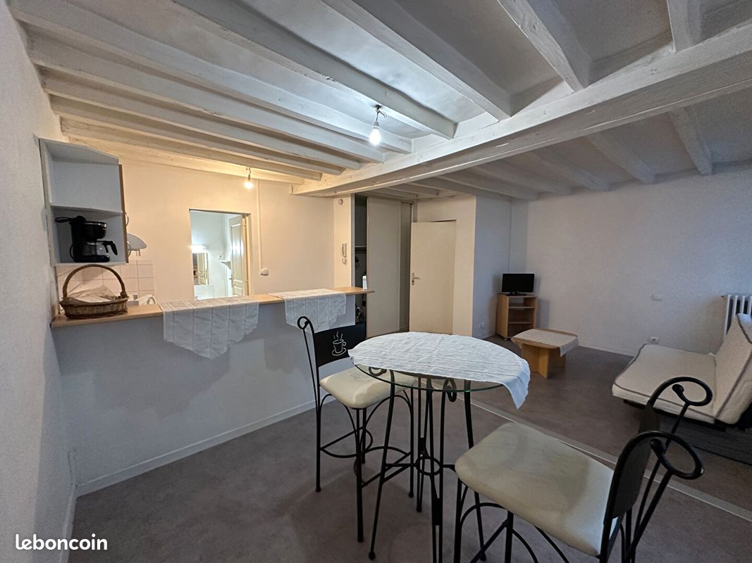 Appartement 1 pièce 31 m² · à Chinon · 31 m² · 395 €/mois