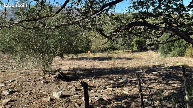 Terrain 5862 m² · à Rapale · 5 862 m² · 262 500 €