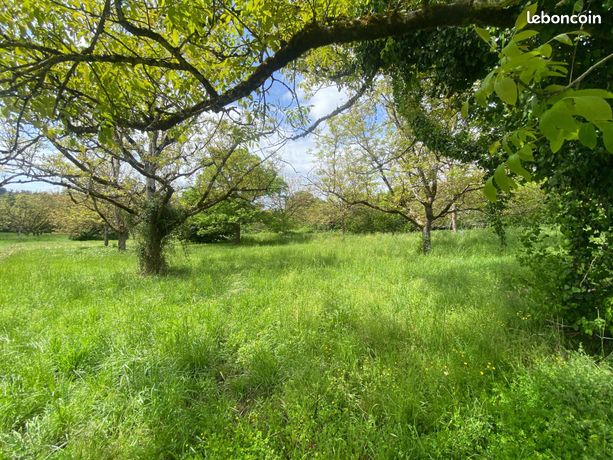 Terrain 7950 m² CAPDENAC