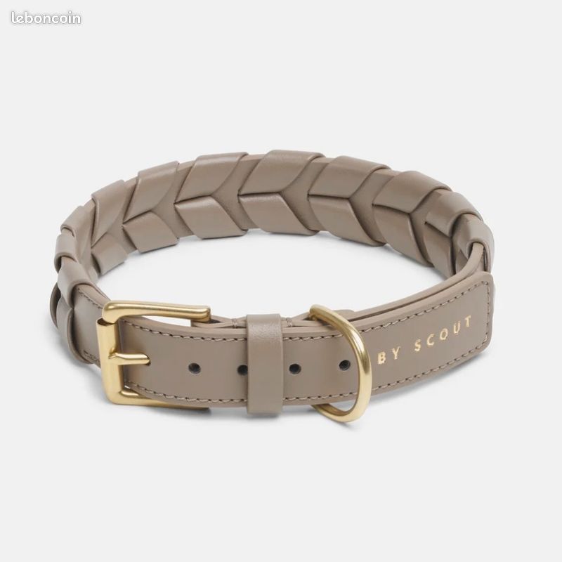 Collier chien luxe (image 1)