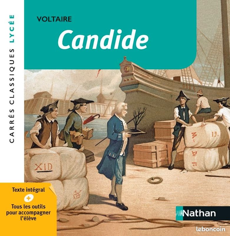 Livre Voltaire (image 1)