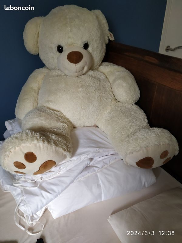 Ours en peluche (image 1)