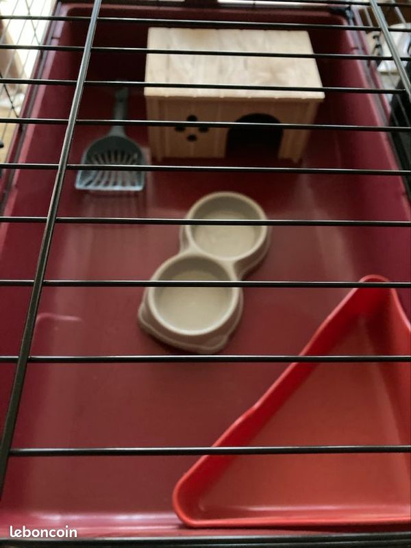 Cage a rongeurs (image 2)