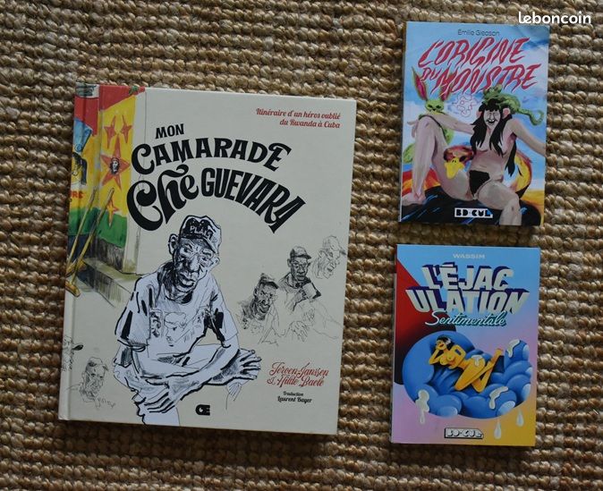BD contemporaines – Romans graphiques ANNONCE n° 3 si 4 achetés => + 1 offert (image 1)
