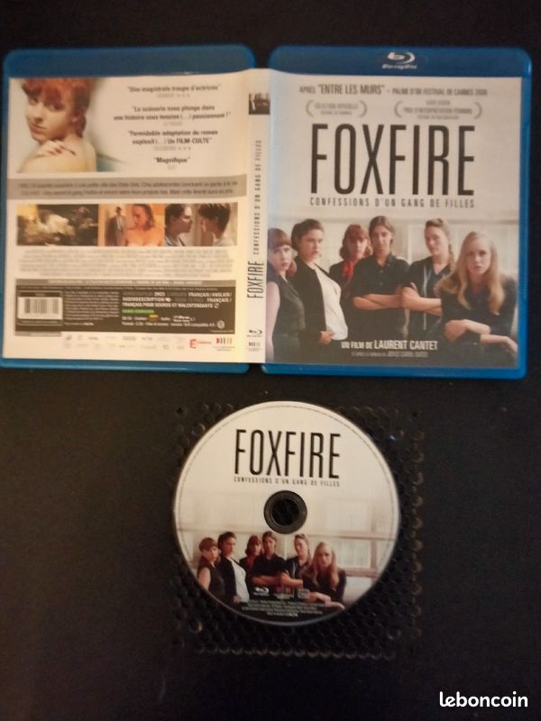 Foxfire confessions d un gang de filles (image 1)
