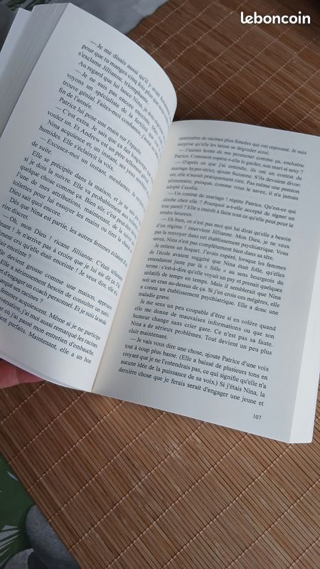 La femme de ménage.FREIDA MC FADDEN (image 2)